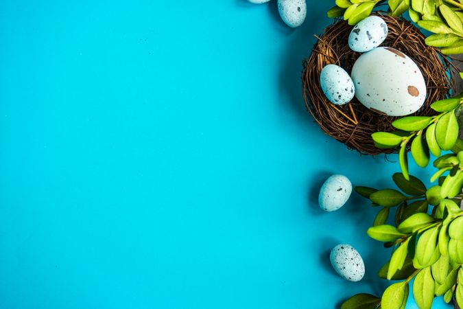 Easter holiday card with eggs in nest next to branches on bright blue background