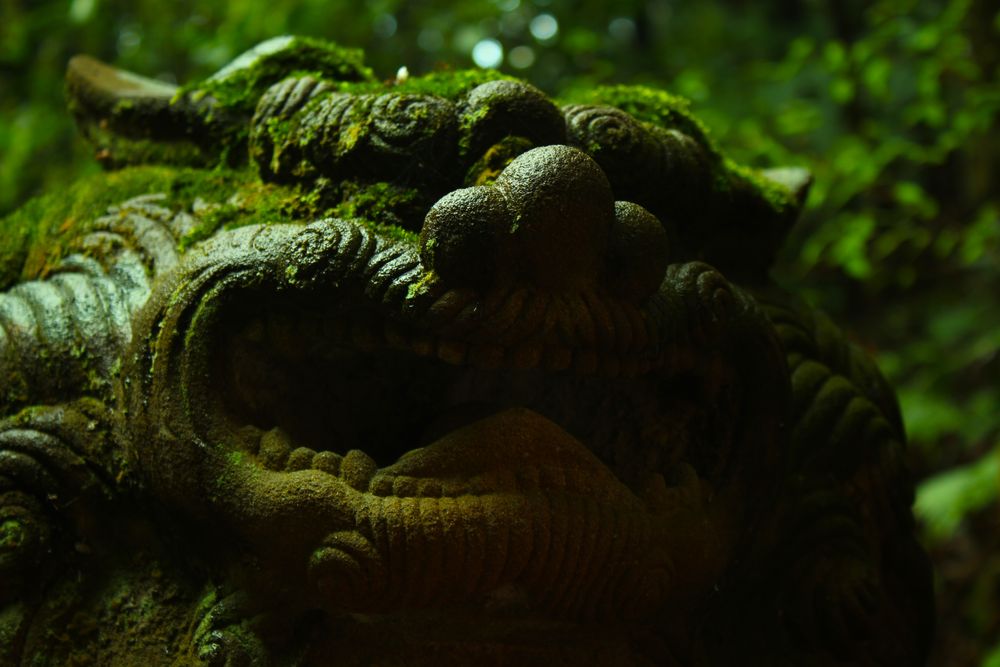 Moss dragon