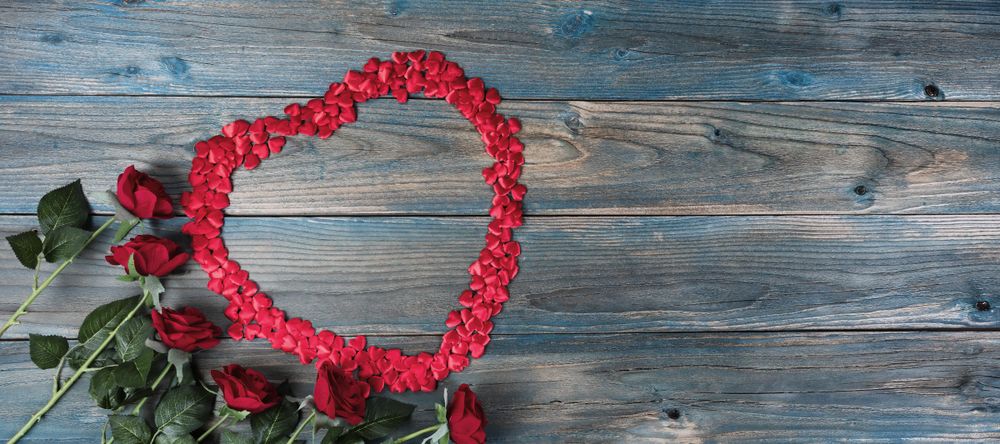 Valentine’s day with large heart shape outline and roses on blue wood