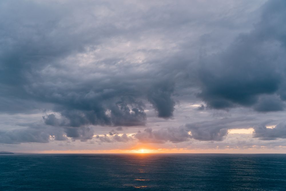 Grassy shore near stormy sea in evening