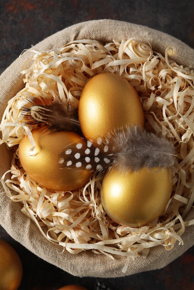 Pension rewards, returns and investment funding concepts, golden eggs