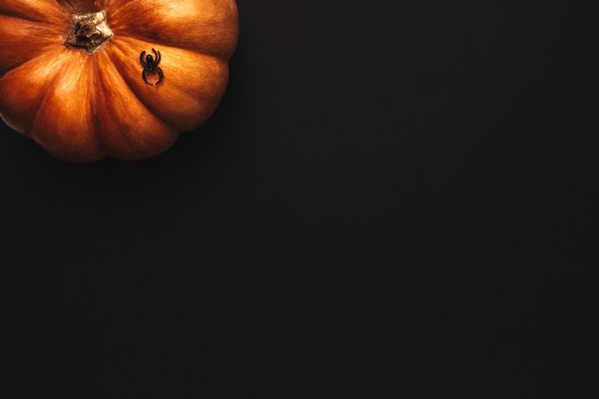 Flat lay concept of Halloween theme on dark background