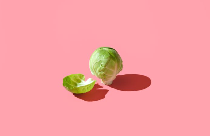Brussels sprout isolated on a vibrant pink background