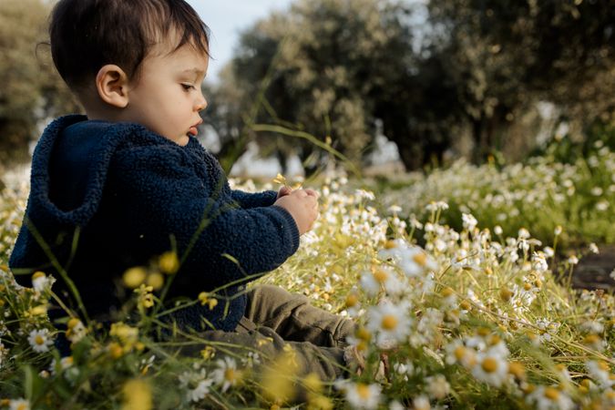 Toddler sitting in a field of daisies