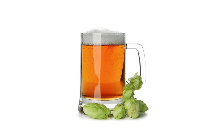 Beer and green hop isolated on light background