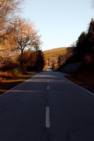 Asphalt road in autumn countryside