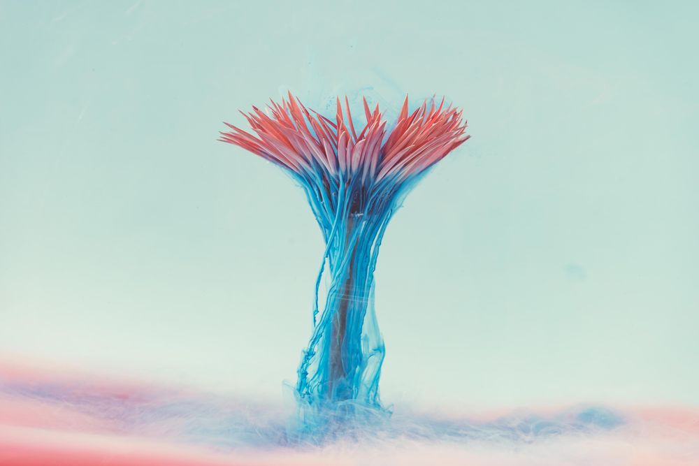 Pink daisy flower with pastel blue ink