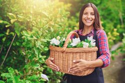 Confident smiling woman pictured in a greenhouse holding a basket of flowers