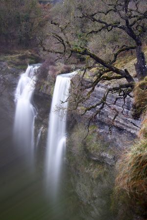 Autumn tree and waterfall