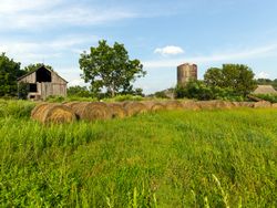 Working farm in Branchville, New Jersey