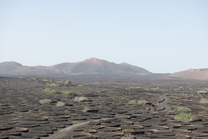 Wonderful stony terrain on sunny day