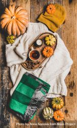 Flat-lay of beige knitted sweater, green woolen scarf, hat, decorative pumpkins, candle and tea 56kYx4