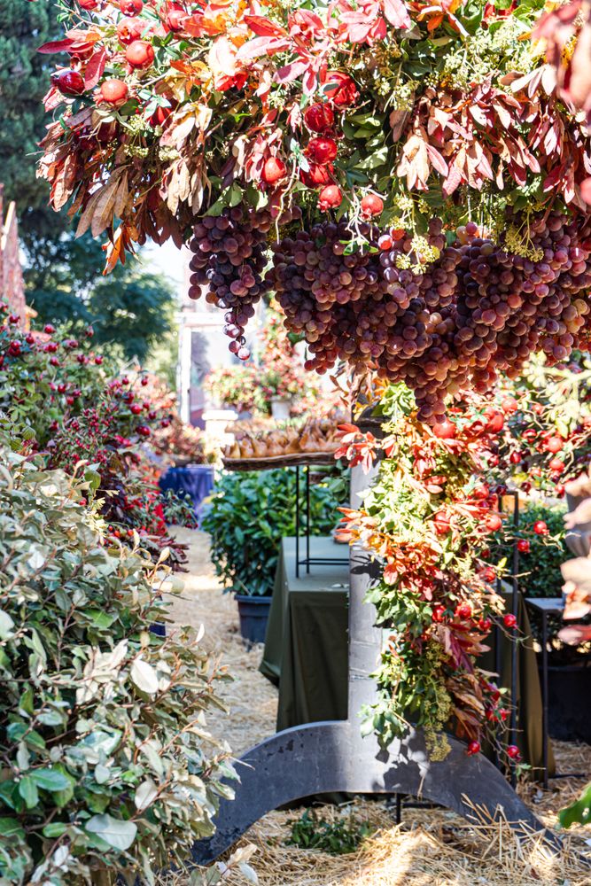 Autumnal composition with ripe fruits and vegetables