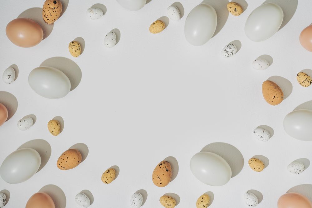 Natural shades of eggs bordering light  background