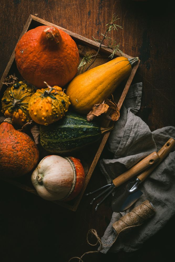 Top view of pumpkins on a tray