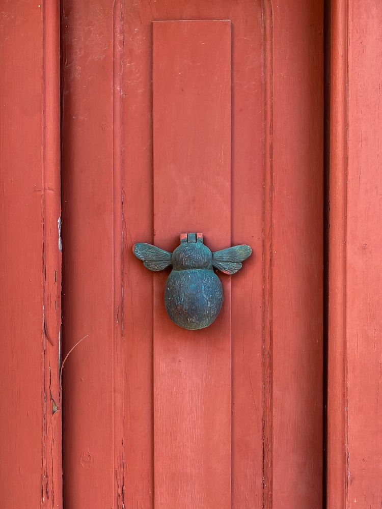 Patmian knocker close up of bumble bee