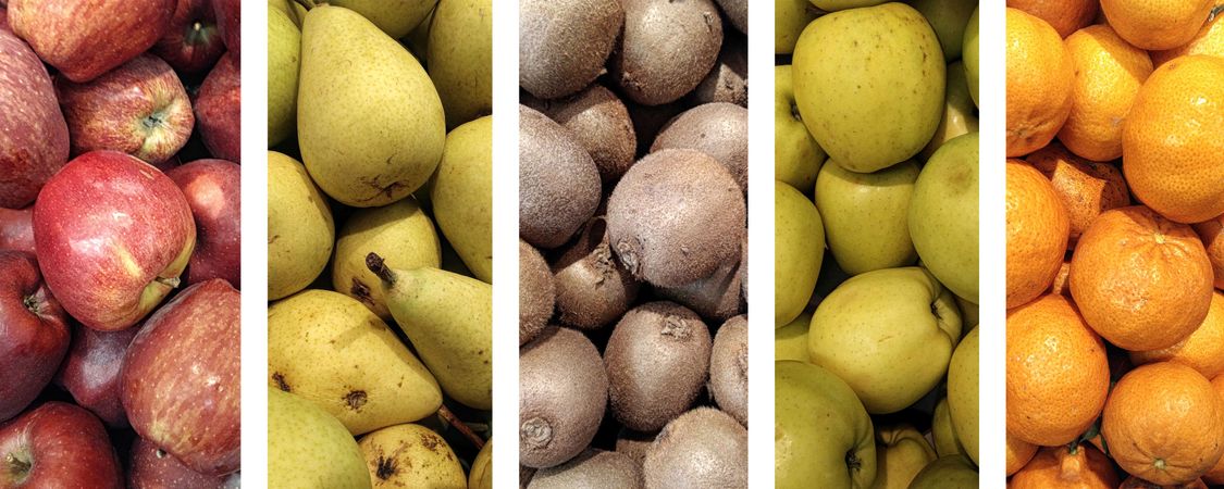 Colorful Fruit Collage On Background