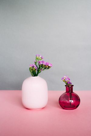 Violet sea lavender flowers in a pink and grey background