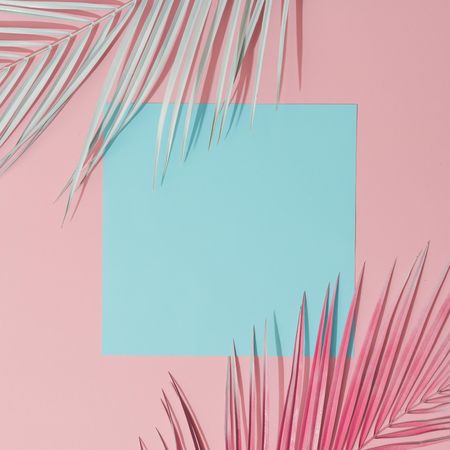 Palm leaves on pastel pink and blue background