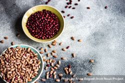 Bowls of dried legumes from pantry on grey counter with copy space 0JGVdK