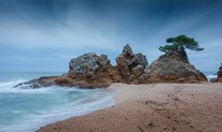 Stone shore near water