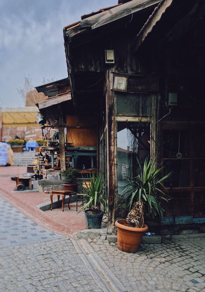 Pots of plants sitting outside shop in pedestrian area