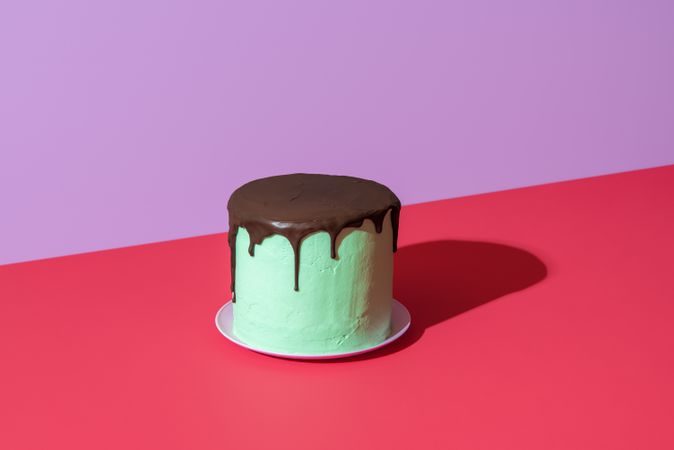 Chocolate mint cake isolated on a vibrant colored background