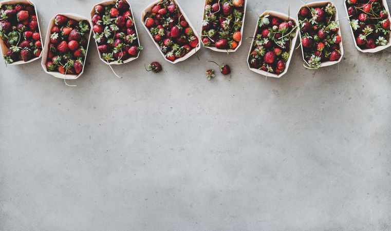 Strawberries in eco-friendly plastic-free boxes, lined up on concrete background, copy space