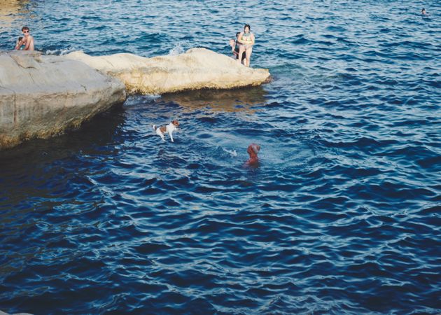 Cute dog jumping off rock into Mediterranean Sea