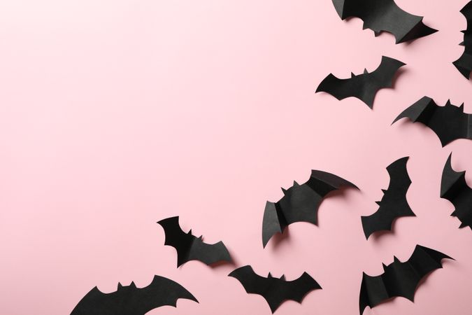 Paper bats on pink background, space for text
