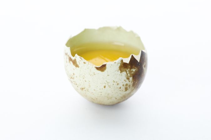 Half raw quail egg isolated on light background