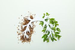 Half tobacco half foliage underneath making lung shape on plain paper