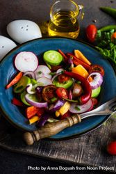 Colorful healthy raw vegetable salad served on blue plate served with oil and seasoning 5kRXzD