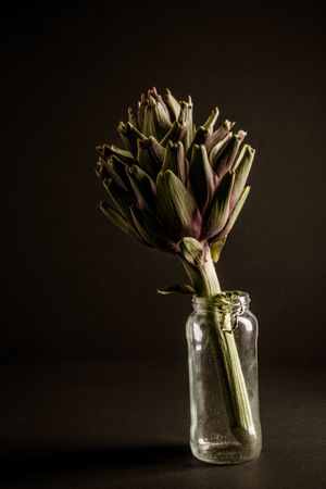 Ripe artichoke in small bottle
