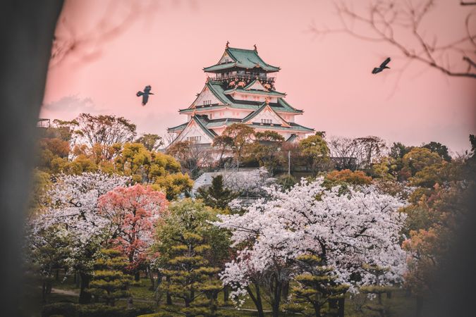Exterior view of Osaka Castle Park in Japan at sunset