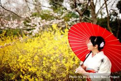 Woman in light and red floral kimono holding red umbrella 4A9qz4
