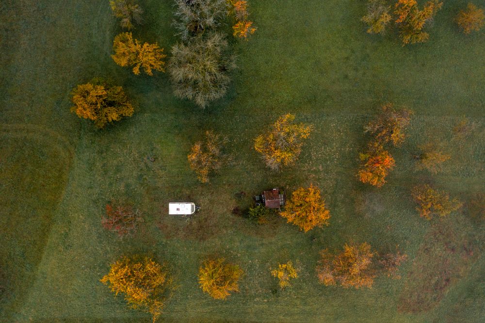 Drone shot, directly above, with an autumn orchard on a cold morning in October