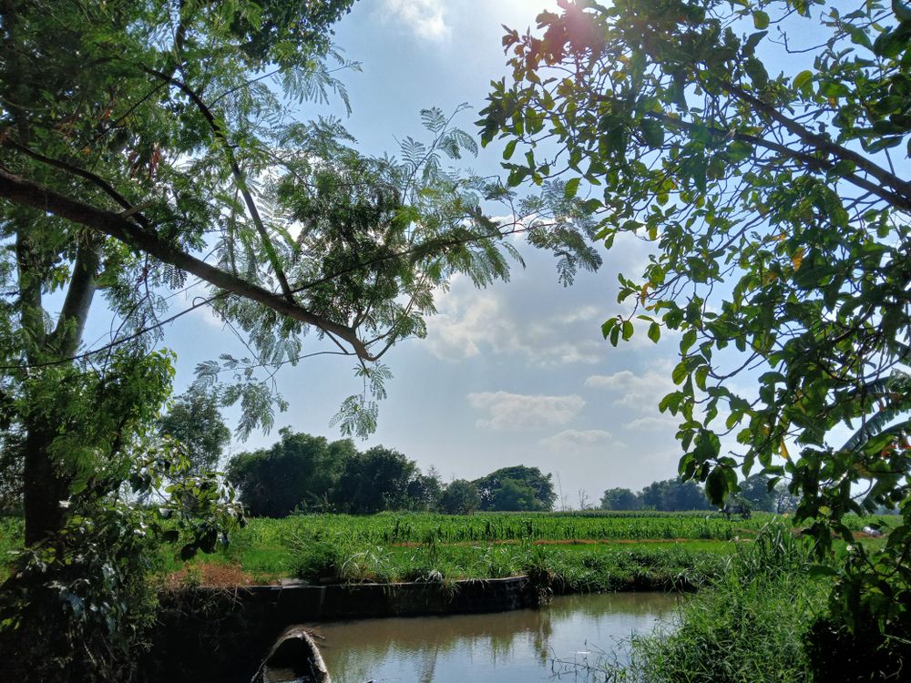 a clear sky with scattered clouds is visible, and the sun shines brightly, creating a gentle glare in the upper part of the image
