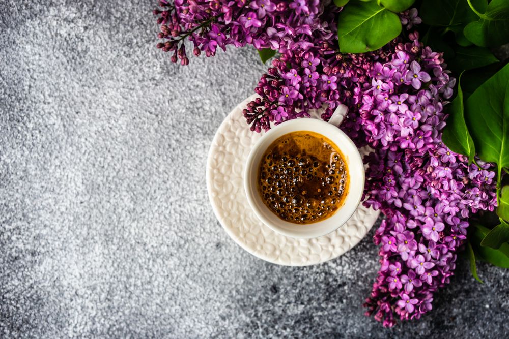 Top view of spring floral card concept with top view of espresso with lilacs