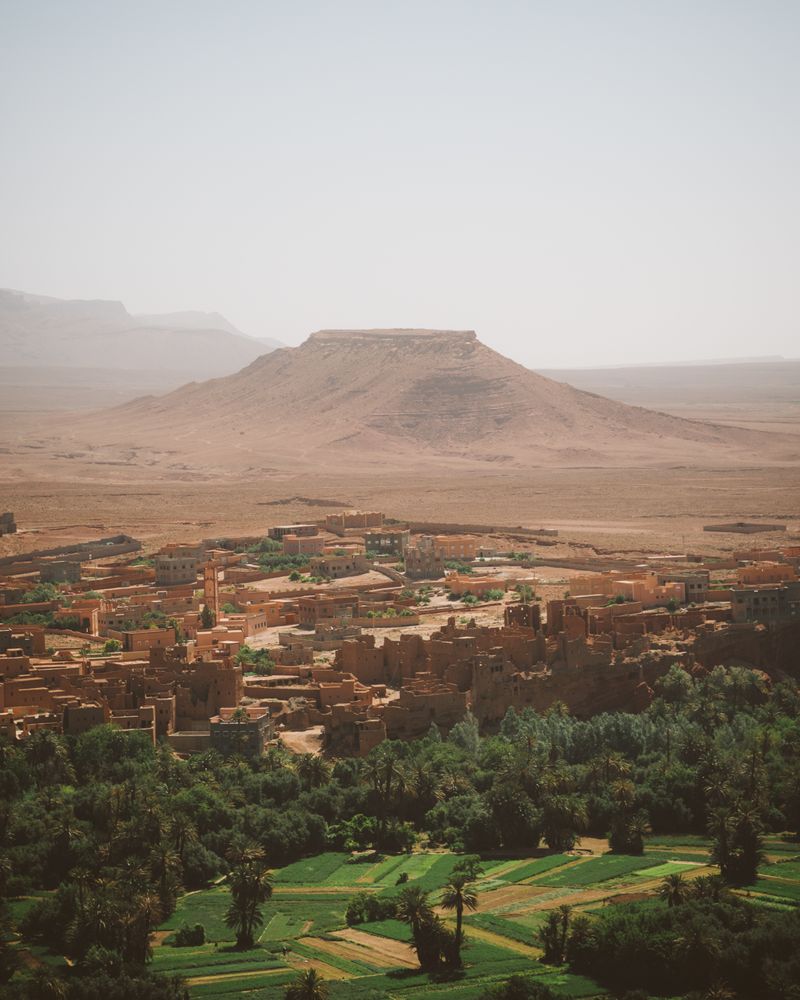 Panorama of green town in desert