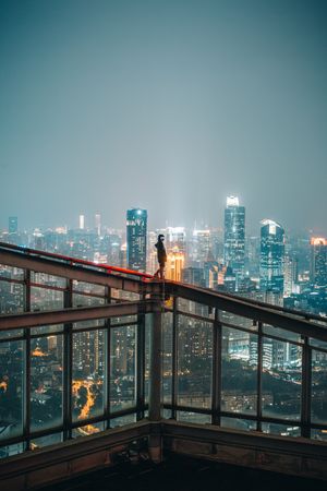 Silhouette of a person on metal railings over city buildings at night