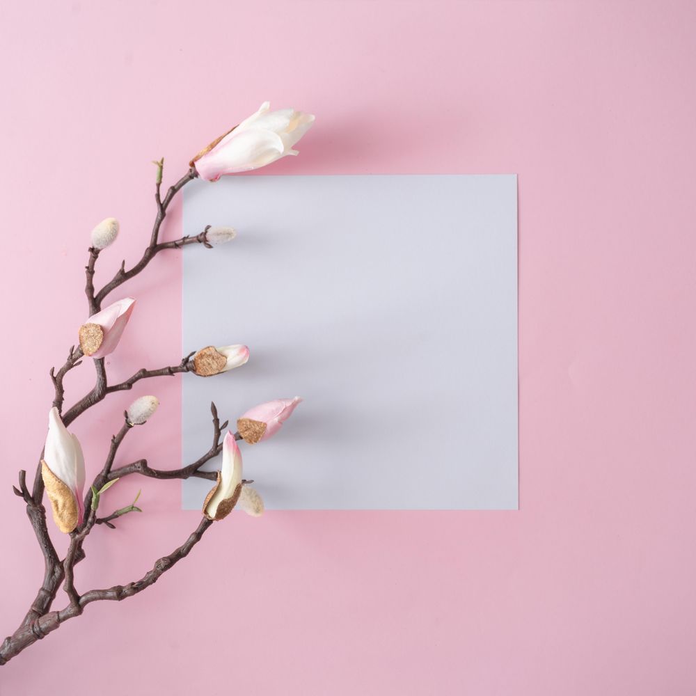 Flowers on brown branch on pastel pink background with paper card