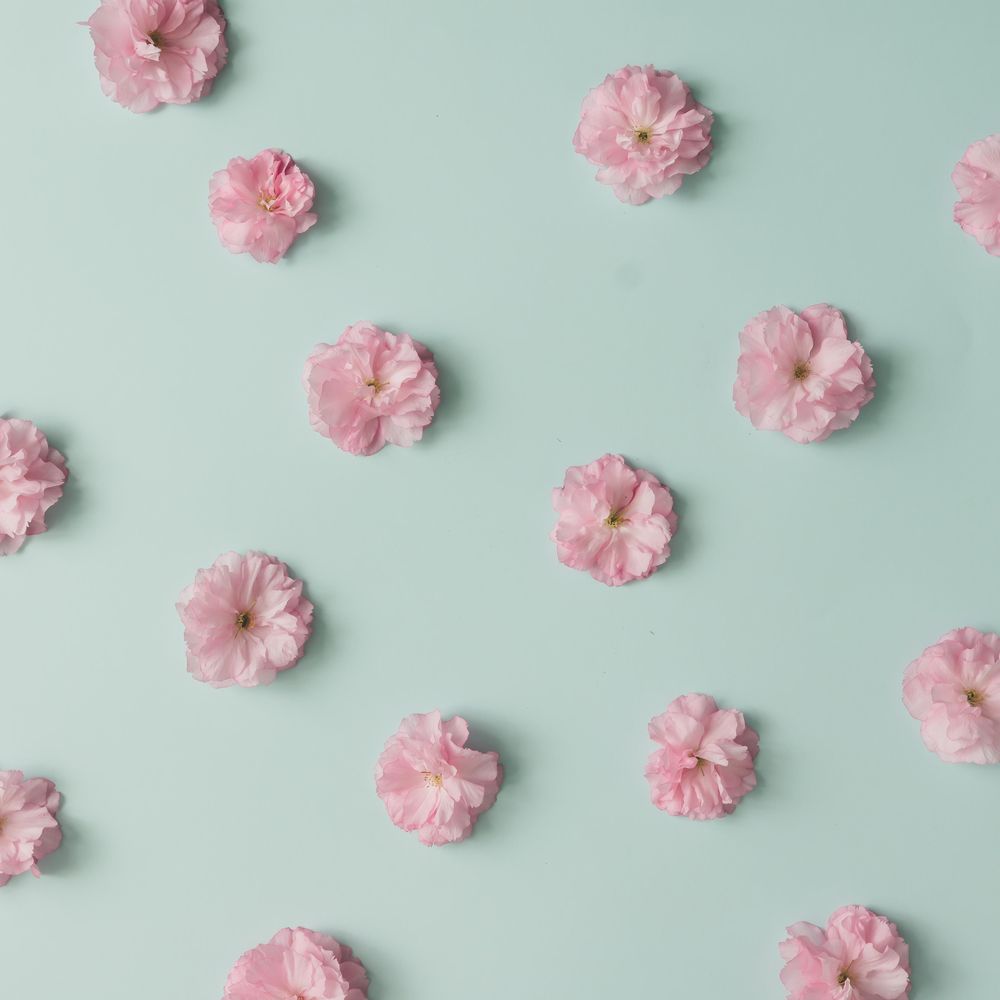 Pink flower pattern on blue pastel background