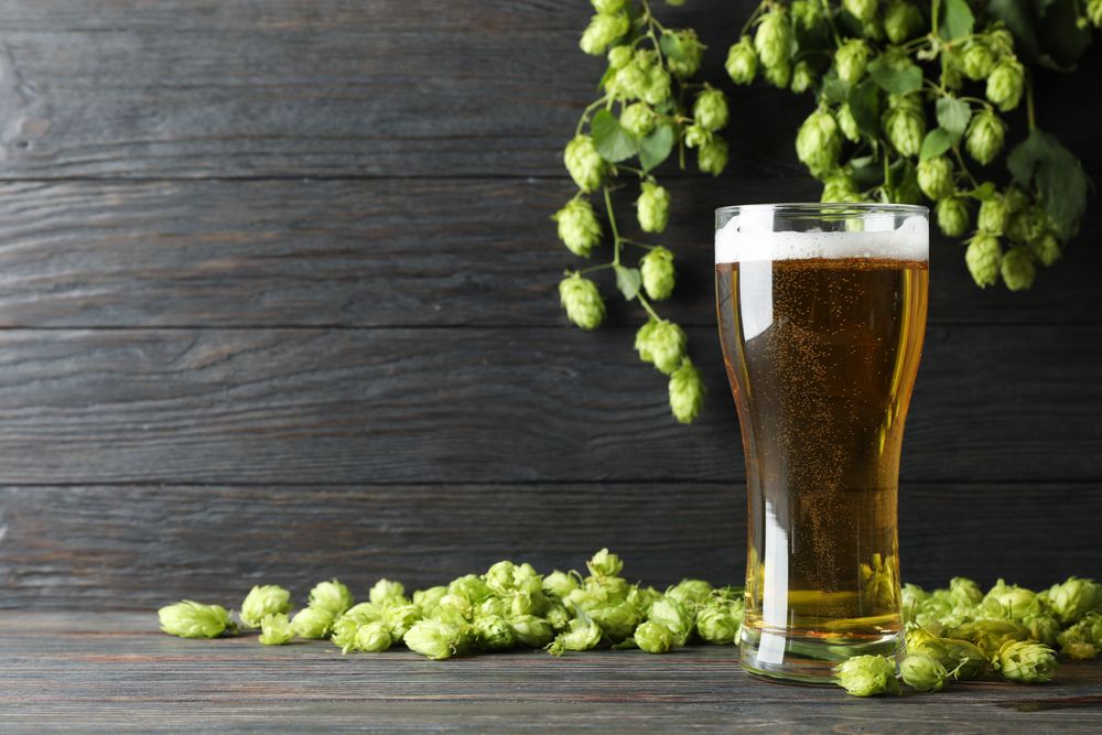 Mug with beer, spikelets and hop on wooden table, space for text