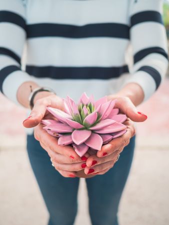 Female hands with beautiful exotic flower