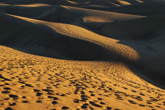 Sandy dunes with traces in sunlight