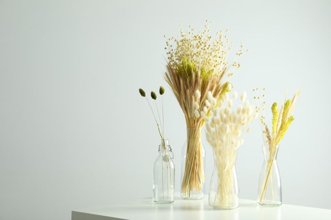 Four glass vases with dried flowers in grey room with copy space