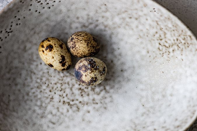 Easter card concept with close up of mini speckled eggs