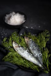 Homemade salted sardines on greens on plate