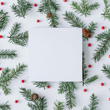 Fir branch pattern on light background with red berries and pine cones and central square